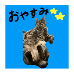 pi_20250117091828