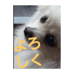 Tkunn_20250116225706