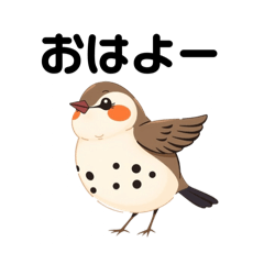 Haruru_20250116205332