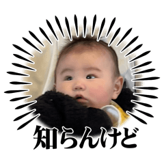 haruharu_20250117114430
