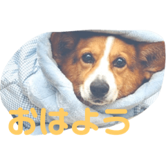 mai_20250116225024