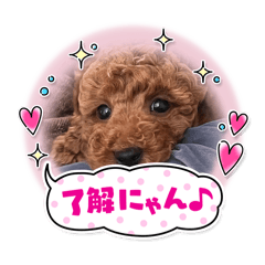 choco_20250116225041
