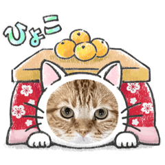 mie_20250117072755