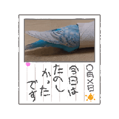 blue_20250117113616