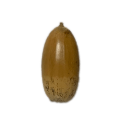 mcimaimai_20250118083333