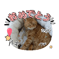 haruka_20250118063454
