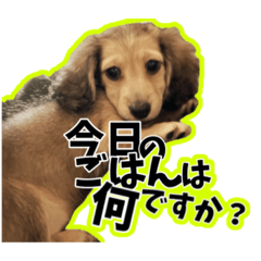 RIRIKA_20250117203816
