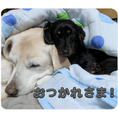 nono_20250117222546