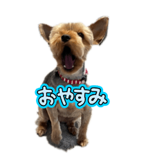 natsuki_20250117213023
