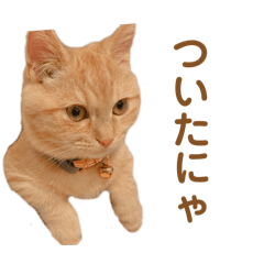 Don_20250117185516