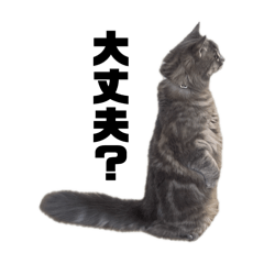 doppy_20250117212454