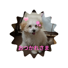 hitomi_20250117225341