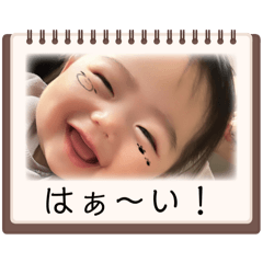 Ryokotan_20250117230835