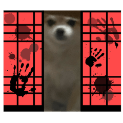 2_20250118013450