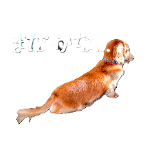 ponta_20250118090033
