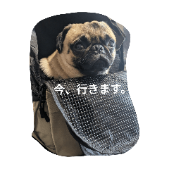 nao_20250118094543