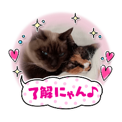 mayu_20250117193424