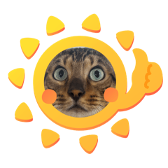 Ao_20250117210856
