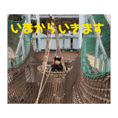 yuki_20250118105844