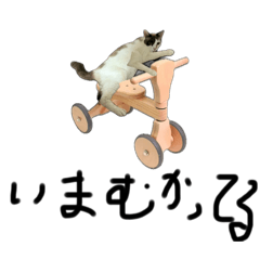 King_20250118110507