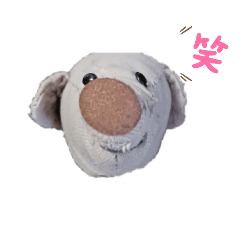 kepi_20250117190242