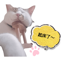 小肥與oreo日常3