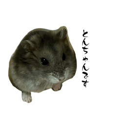 Min_20250118133312