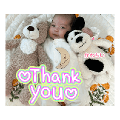 miyoko_20250118221935