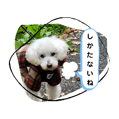 YOKO_20250118150450