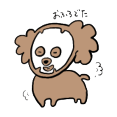 Nico_20250118151417