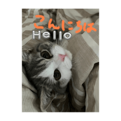 Yuma_20250118152819
