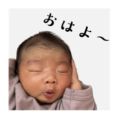 moe_20250118173201