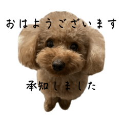 kasumi_20250118170146
