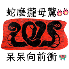 2025蛇麼攏毋驚