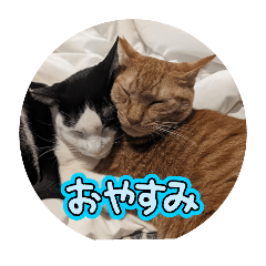 KOSUKE_20250118210034