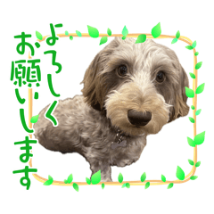 Yuko_20250119