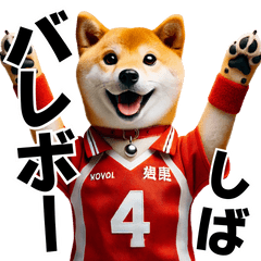 Volleyball Shiba Inu