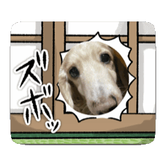 Kanako_20250120022224