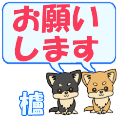 Hazenoki's letters Chihuahua2