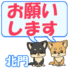 Kitamon's letters Chihuahua2