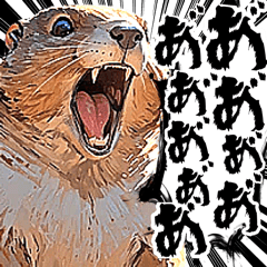 ず〜っと使える♪迫力MAXマーモット