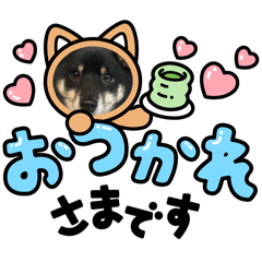 yuzu_20250119165523