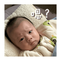 只吃炒蛋