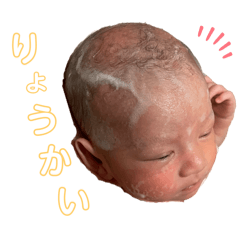 momo_20250118145528