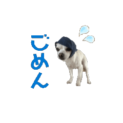 yuzu_20250119123743