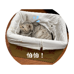 oreo的貓貓貼圖