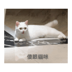 魯米日記2