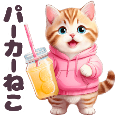 1年中毎日使える パーカーねこ