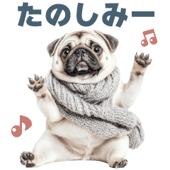 Pug greetings1