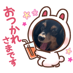 バカかわラムネ